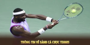Tìm Hiểu Quần Vợt PG88: So Sánh Sức Hút Với Các Môn Thể Thao Khác