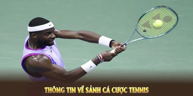Tìm Hiểu Quần Vợt PG88: So Sánh Sức Hút Với Các Môn Thể Thao Khác